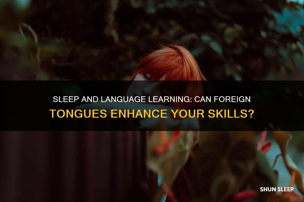 does sleeping to a foreign language help you learn it