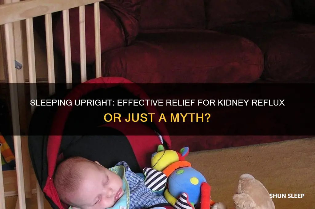 does sleeping upright help kidney reflux