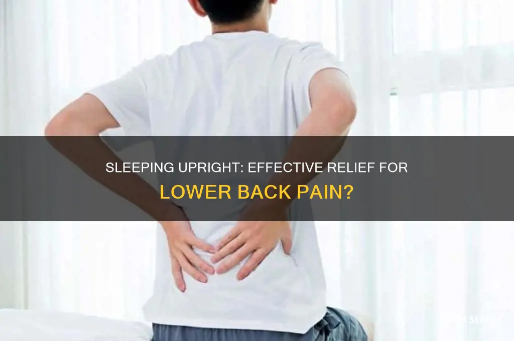 does sleeping upright help lower back pain
