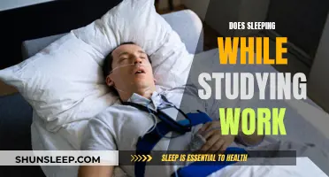 Studying and Sleeping: A Recipe for Success or Disaster?
