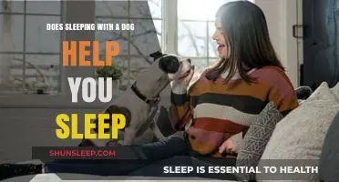 Sleeping with Your Dog: Better Rest or Restless Nights?