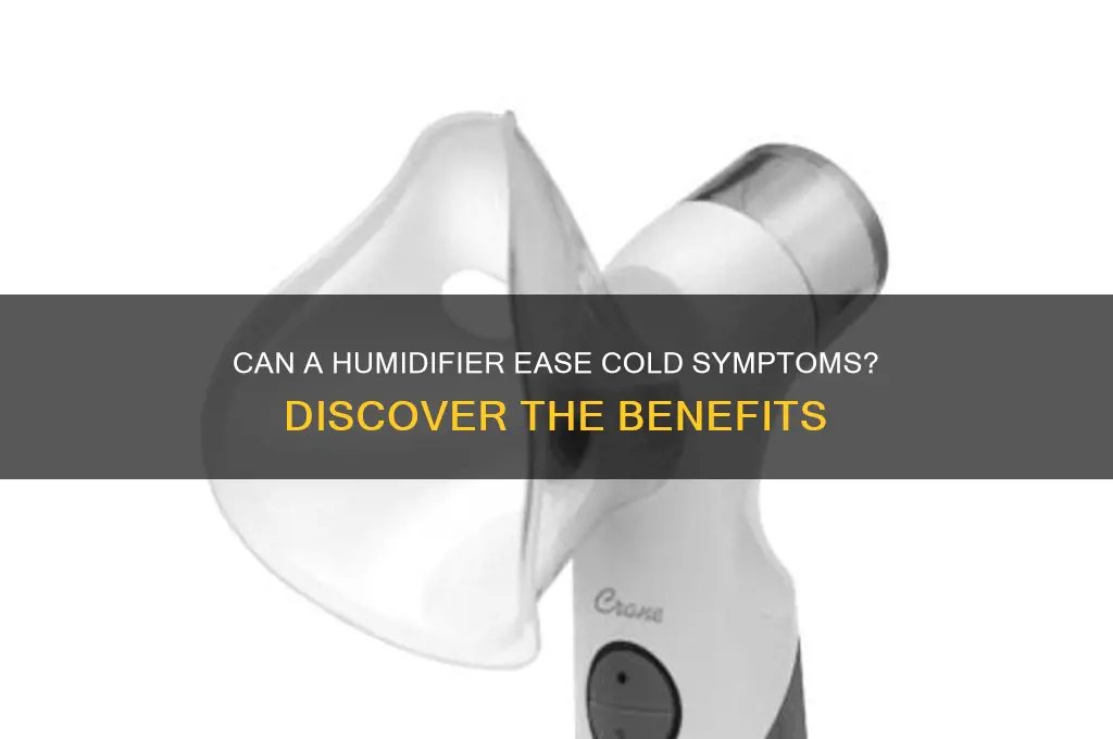does sleeping with a humidifier help a cold