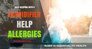 Can a Humidifier Ease Allergy Symptoms? Discover the Benefits