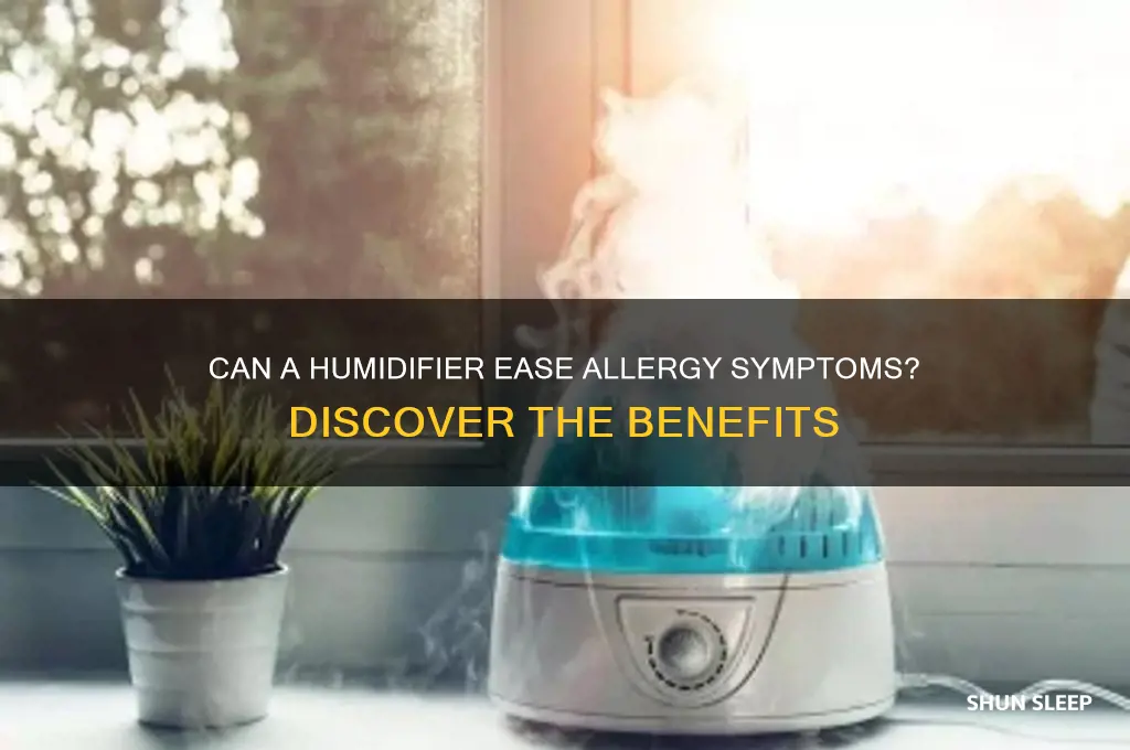 does sleeping with a humidifier help allergies