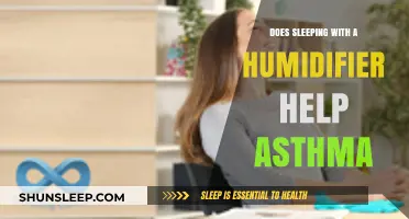 Can a Humidifier Ease Asthma Symptoms? Exploring the Benefits