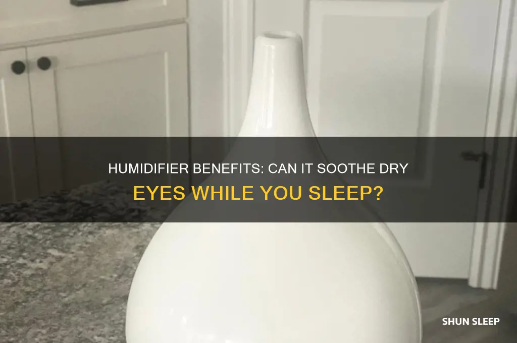 does sleeping with a humidifier help dry eyes