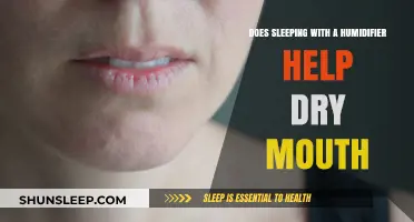 Humidifier Benefits: Can It Relieve Dry Mouth During Sleep?