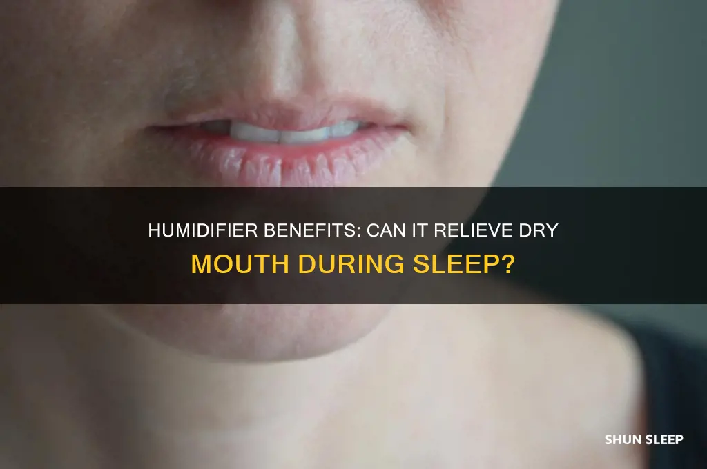 does sleeping with a humidifier help dry mouth