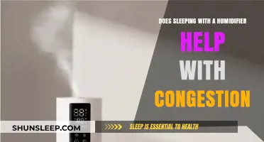 Can a Humidifier Ease Congestion? Discover the Sleep Benefits