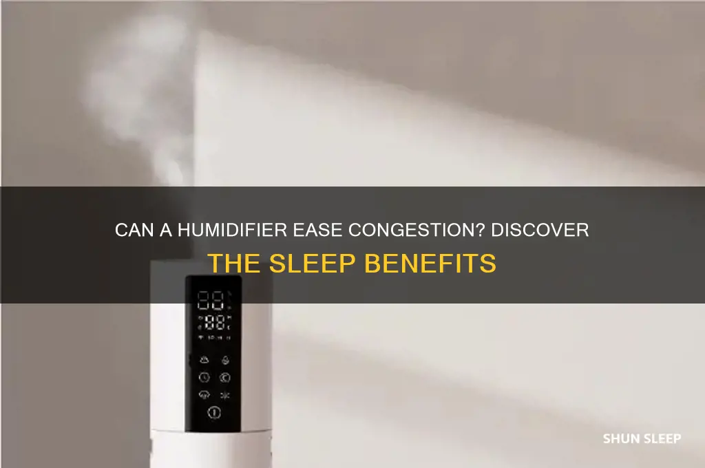 does sleeping with a humidifier help with congestion
