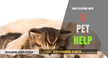 Sleeping with Pets: Benefits, Drawbacks, and Tips for Better Rest