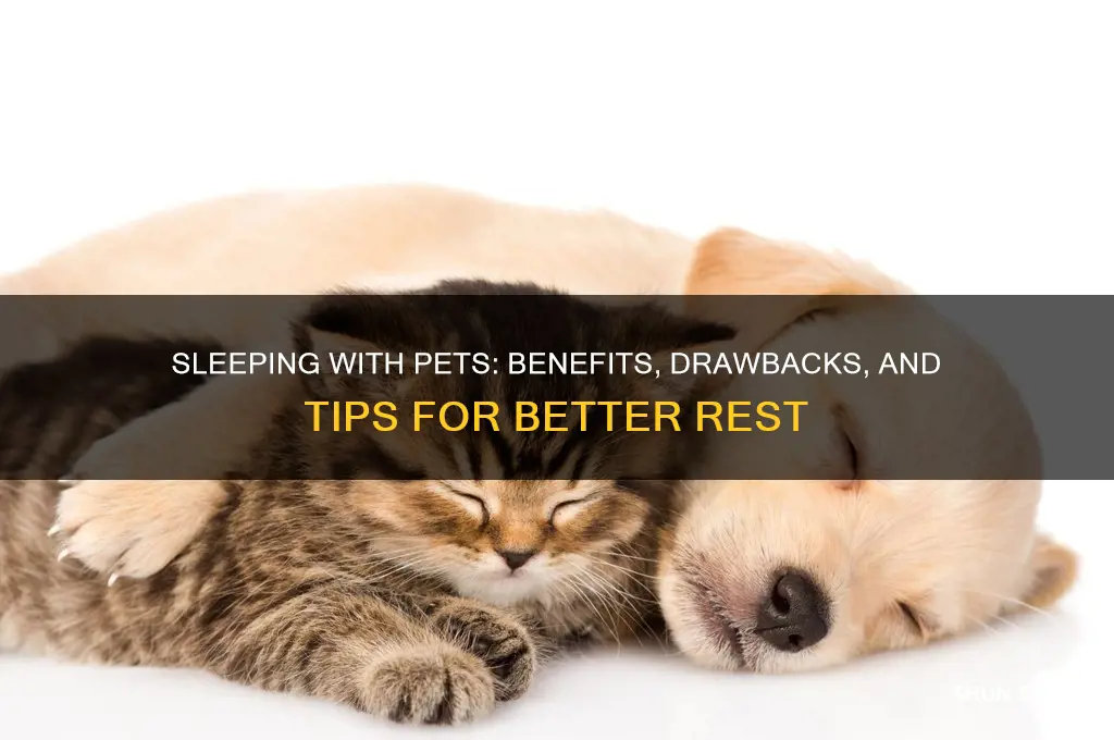 does sleeping with a pet help