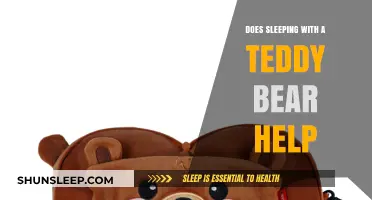 Does Sleeping with a Teddy Bear Boost Comfort and Sleep Quality?