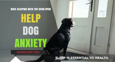 Open Doors, Calm Dogs: Easing Anxiety with Simple Sleep Habits