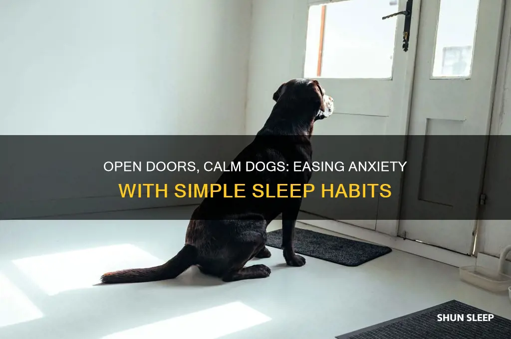 does sleeping with the door open help dog anxiety