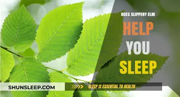 Slippery Elm for Sleep: Natural Remedy or Myth?