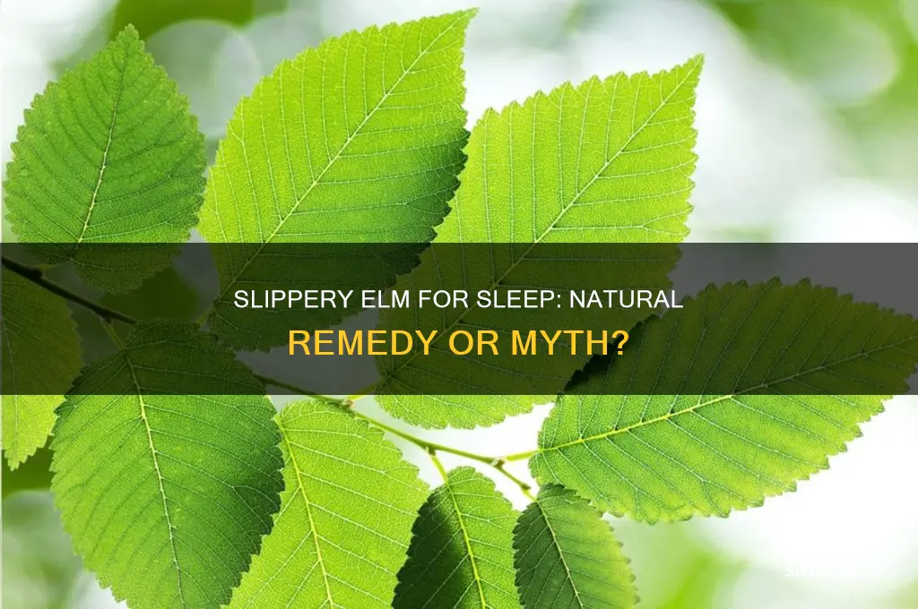 does slippery elm help you sleep