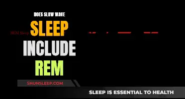 Understanding Slow Wave Sleep and its Relation to REM