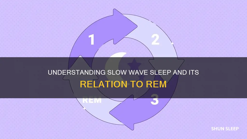 does slow wave sleep include rem