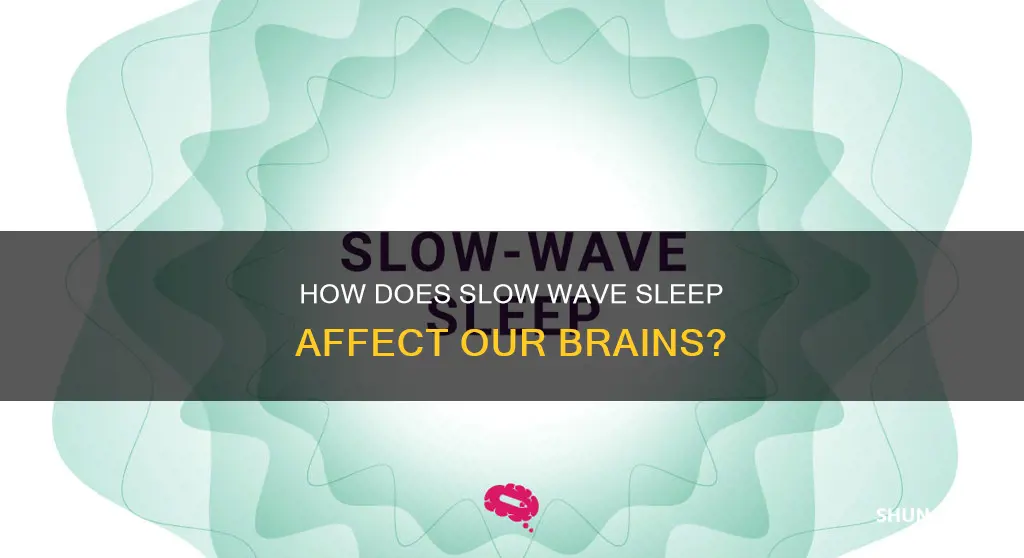 does slow wave sleep work differently for everyone
