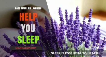 Lavender's Soothing Aroma: Unlocking Better Sleep and Relaxation Naturally