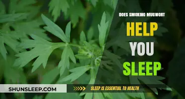 Can Smoking Mugwort Improve Sleep Quality? Exploring Its Effects and Benefits