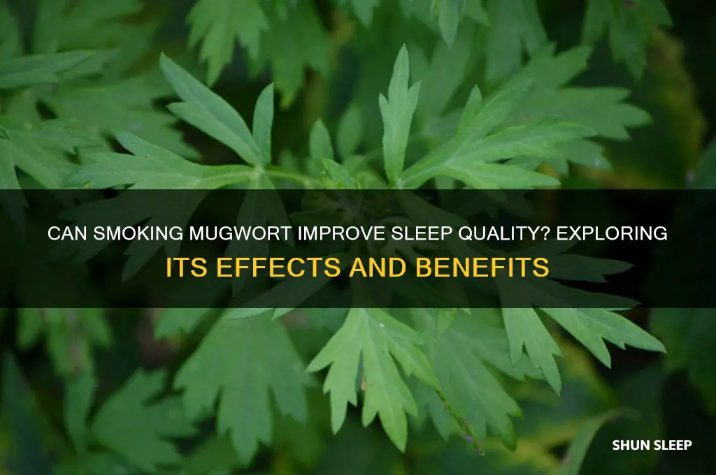does smoking mugwort help you sleep