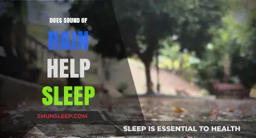 Rain's Soothing Sounds: Enhancing Sleep Quality and Relaxation Naturally