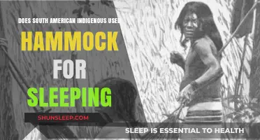 Hammocks: South America's Indigenous Sleep Solution