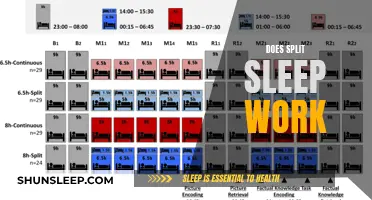 Split Sleep: Effective Strategy or Sleep Myth?