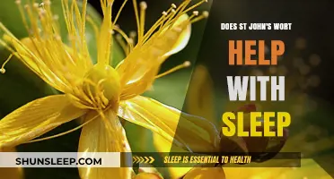St. John's Wort for Sleep: Benefits, Risks, and Effectiveness Explained