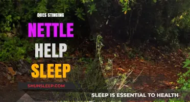 Stinging Nettle for Sleep: Natural Remedy or Myth?