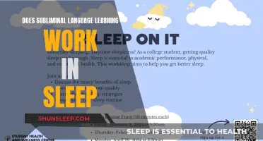 Sleep Learning: Can Your Brain Learn Language Subliminally?