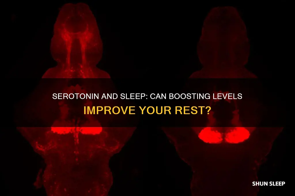 does taking serotonin help you sleep