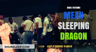 Tatsumi: Unraveling the Mystery of the Sleeping Dragon