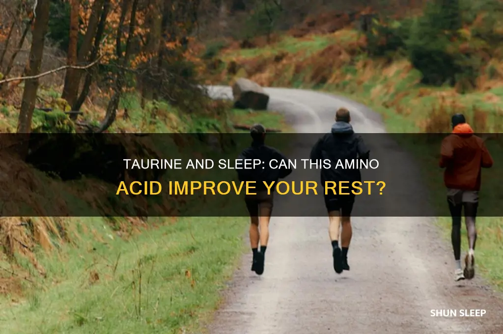 does taurine help you sleep
