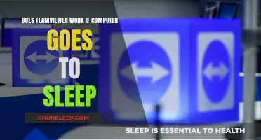 TeamViewer Functionality: Sleep Mode Compatibility