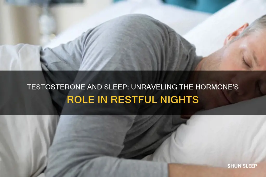 does testosterone help you sleep