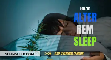 THC's Impact on REM Sleep: What You Need to Know