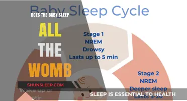 Do Babies Sleep in the Womb? Unraveling Fetal Rest Patterns