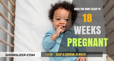 Understanding Fetal Sleep Patterns at 18 Weeks Pregnant: What to Expect