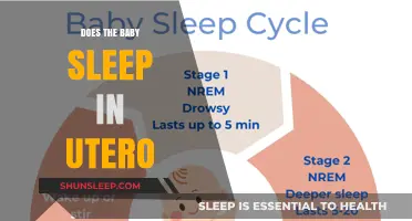Does Your Baby Sleep in the Womb? Unveiling Fetal Rest Patterns