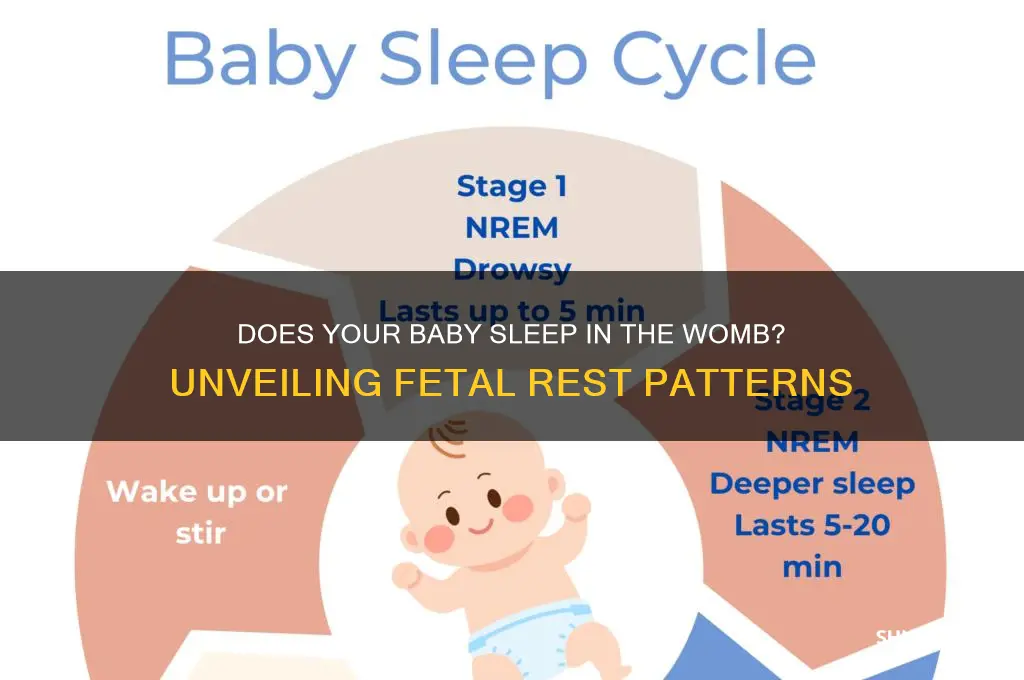 does the baby sleep in utero