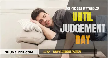 Sleep and Judgement Day: What Does the Bible Say?