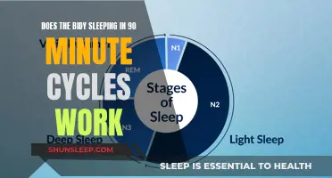 The Power of 90-Minute Sleep Cycles: Does It Work?