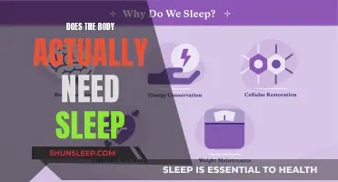 Why Sleep is Essential for Your Body's Functioning