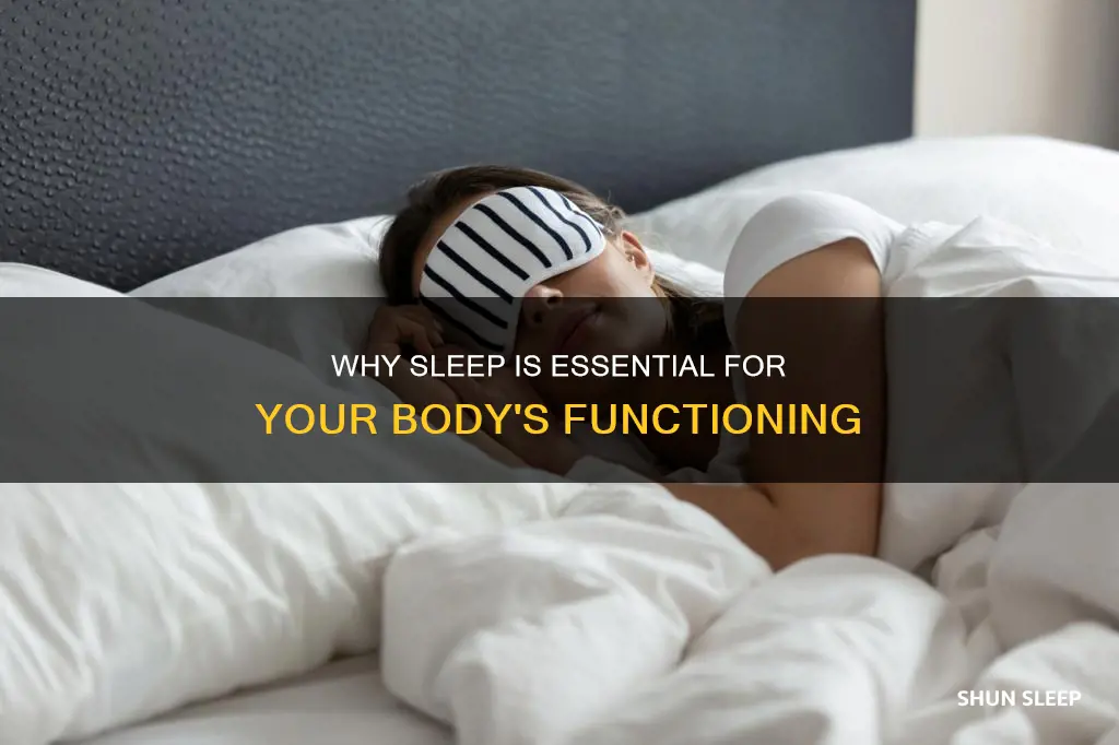 does the body actually need sleep