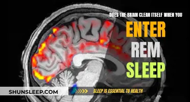 Brain Detox: REM Sleep's Role in Brain Health