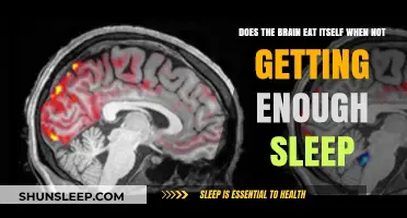 Sleep Deprivation and Brain Autophagy: Does Your Brain Eat Itself?