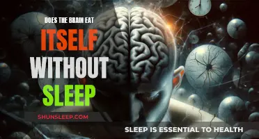 Brain Self-Cannibalism: The Impact of Sleep Deprivation